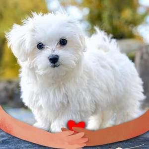 Meet your Posher, Layken